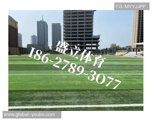 足球场草坪户外养护技巧与最佳实践分享
